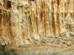 exposed asbestos fibers