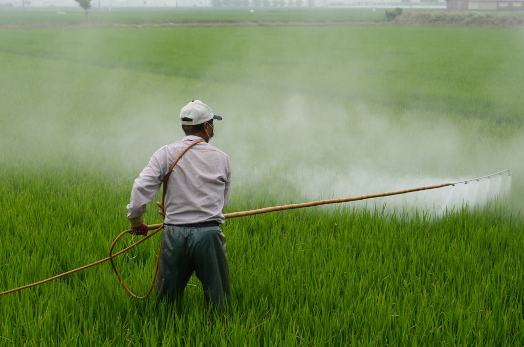 Agricultural worker Spraying Paraquat male agricultural worker spraying paraquat on crops