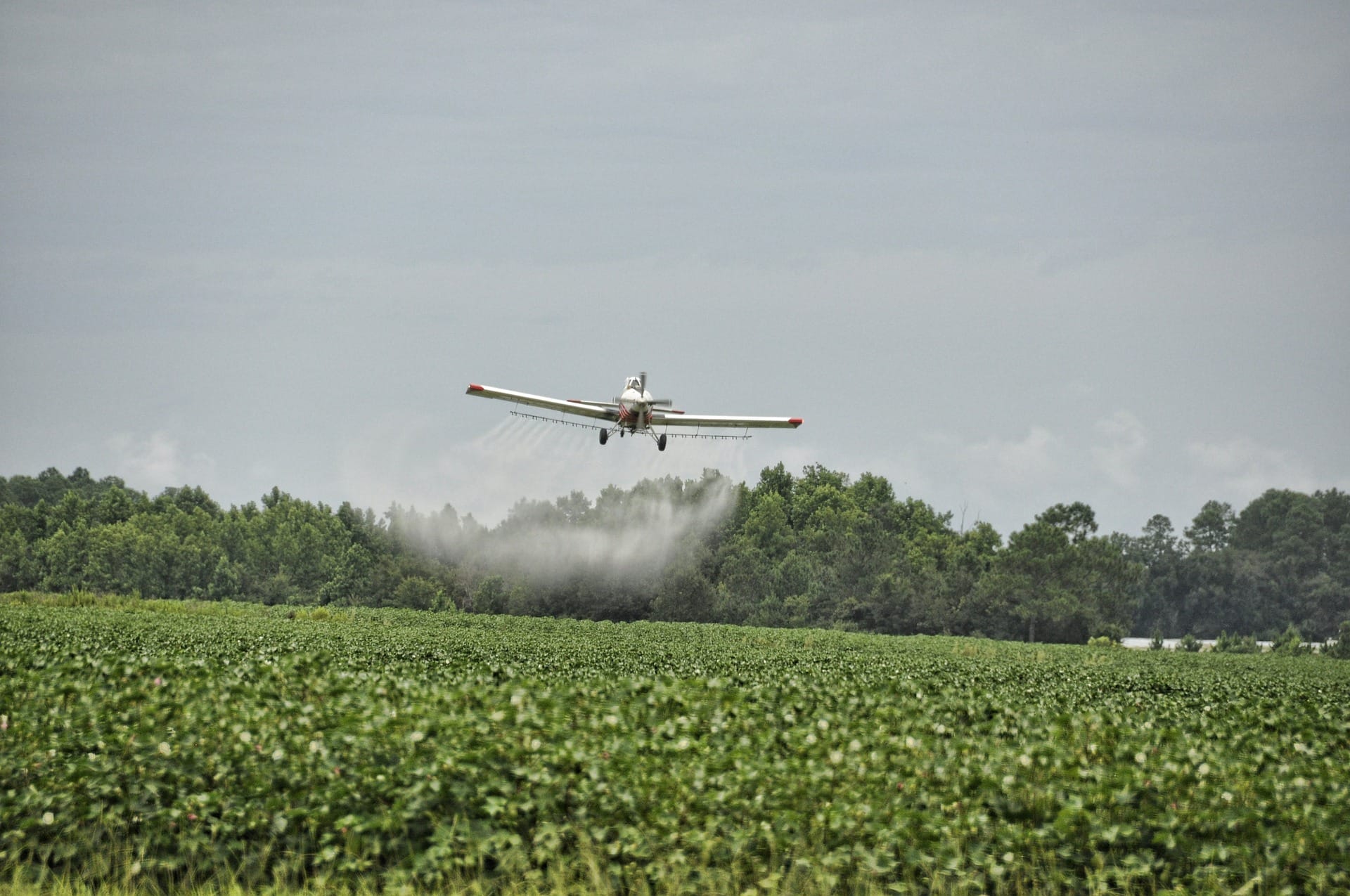 airplane spraying paraquat