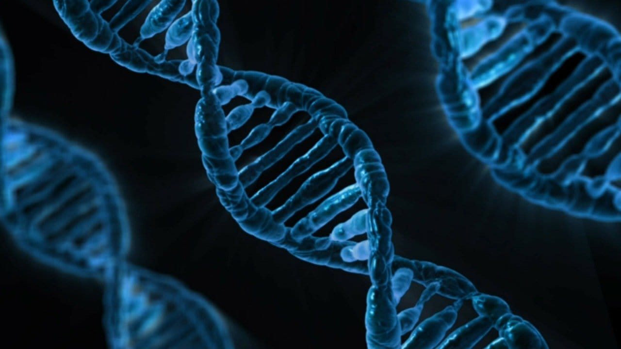 dna strands