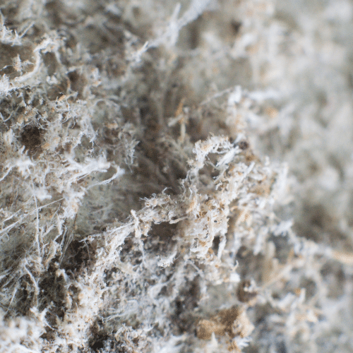 What do Mesothelioma Personal Injury Lawyers Do?