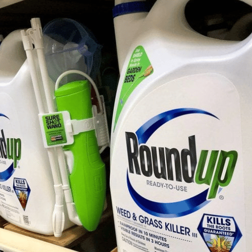 Momentum at Our Backs: 2 Roundup Trials Set to Start Next Week Against Monsanto